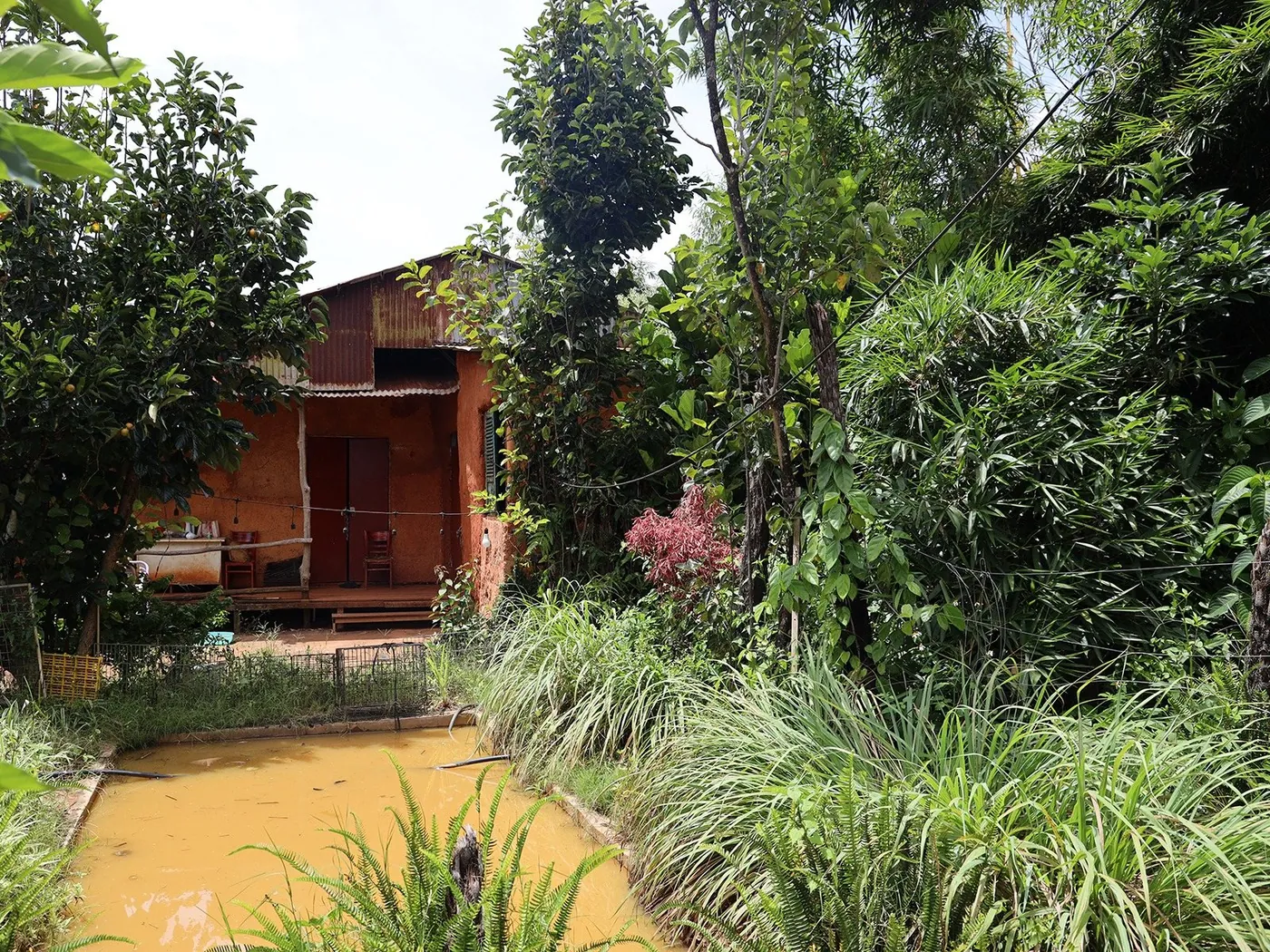 Căn nhà gỗ cạnh vườn cây và hồ nước tại khu đất của Farm