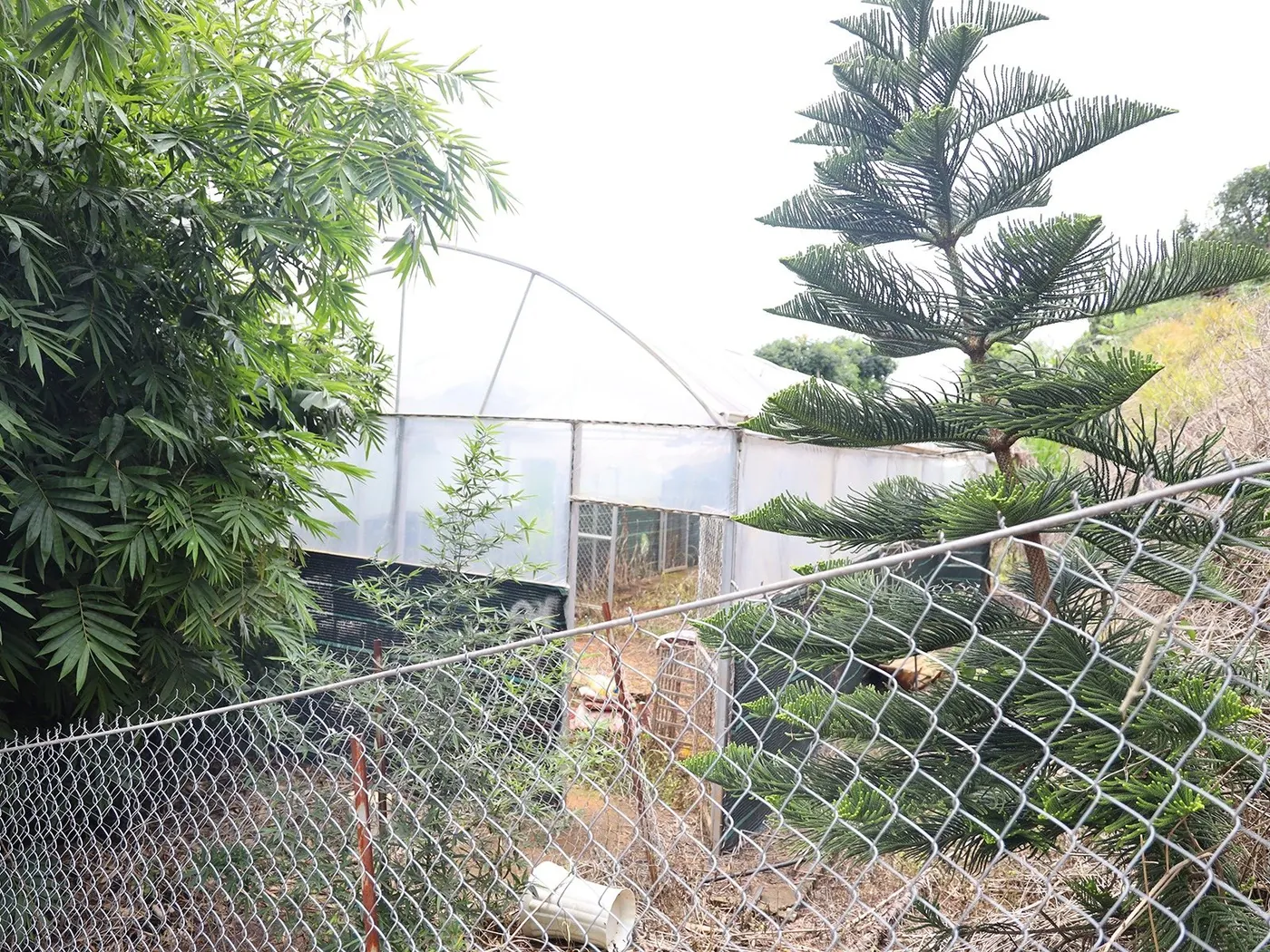 Nhà kính bên vườn cây tại Farm